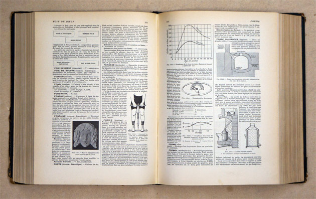 Larousse Ménager. Dictionnaire illustré de la vie domestique