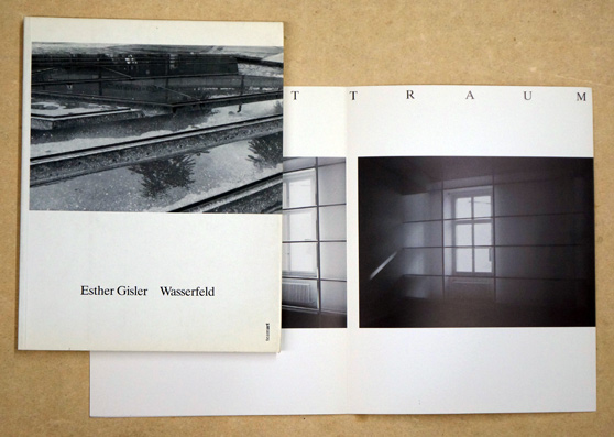 Esther Gisler - Wasserfeld 