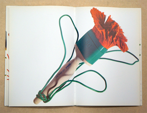 Lisa Enderli - Pinsel - Blüten