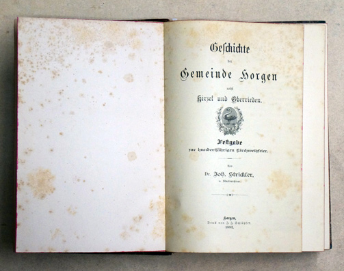 Geschichte der Gemeinde Horgen nebst Hirzel und Oberrieden