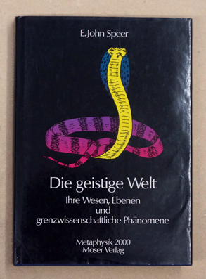 Die geistige Welt. Ihre Wesen, Ebenen und grenzwissenschaftliche Phänomene.