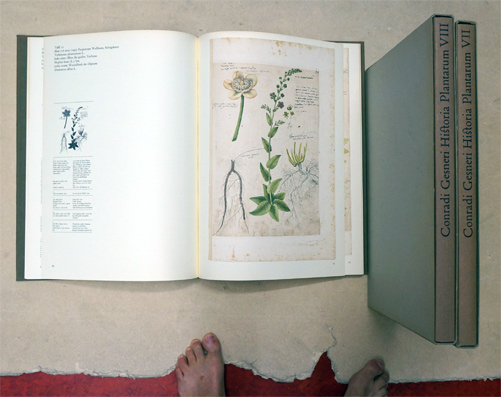 Conradi Gesneri - Historia Plantarum: II, III, IV, VI- VIII; (6 Bde.von 8 Bdn.) 