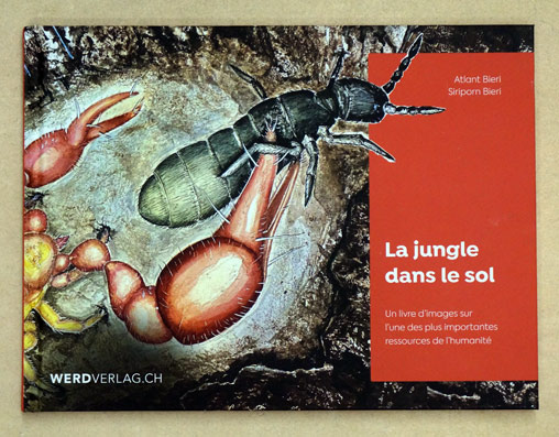 La jungle dans le sol.    