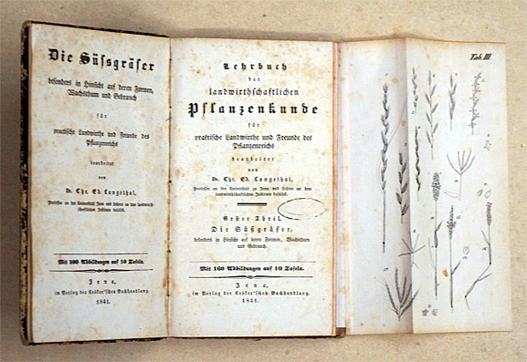 Lehrbuch der landwirthschaftlichen Pflanzenkunde für praktische Landwirthe und Freunde des Pflanzenreichs. Erster Theil. Die Süßgräser, besonders in Hinsicht auf deren Formen, Wachsthum und Gebrauch.