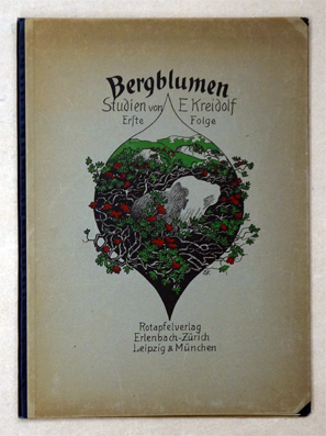 Bergblumen Studien
